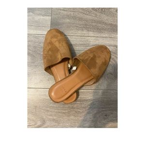A new day Thea camel slides